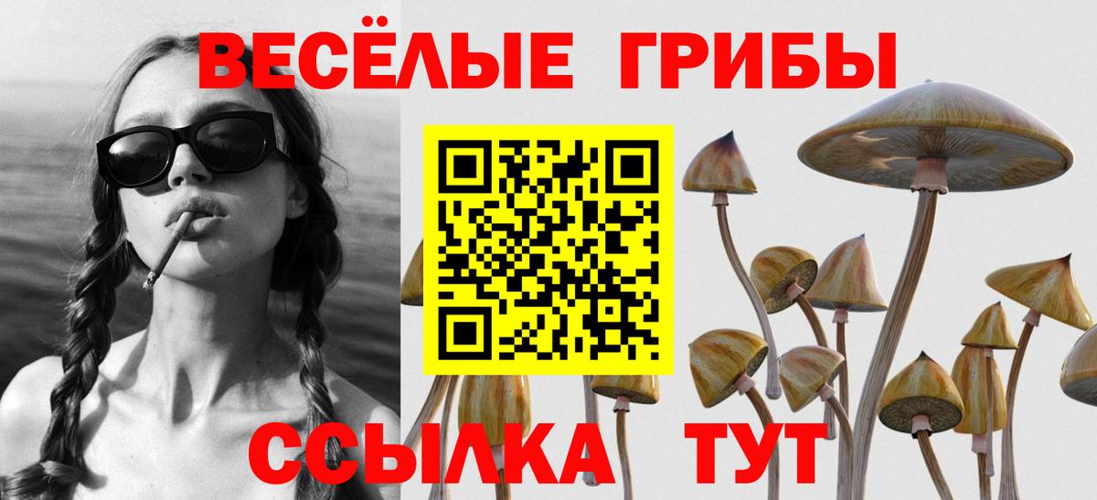Сарапул  Галлюциногенные грибы Cubensis  Вход с VPN  Галлюциногенные грибы Psilocybe 